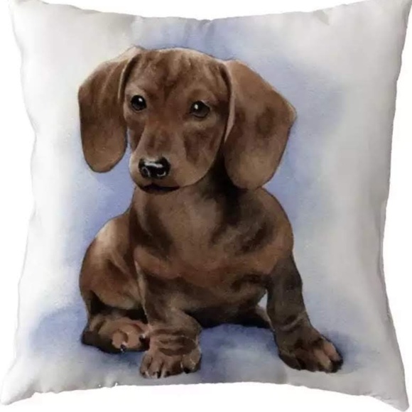 Other - Pillow Cover- NEW- Dachshund Dog